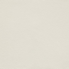 Cori_OffWhite Off White