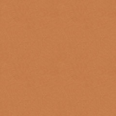 Dinamica_Camel Camel