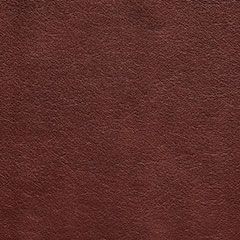 Paloma_Maroon Maroon