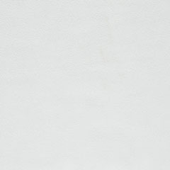 Paloma_MistyGrey Misty Grey