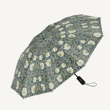RainCaper Umbrella