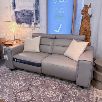 Emily Two-Seat Power Sofa
